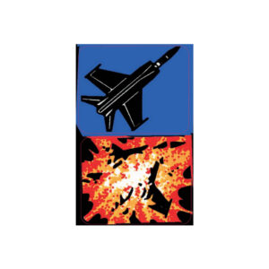 F 14 Tomcat spinner decals