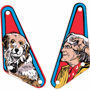 Back to the future DE slingshot