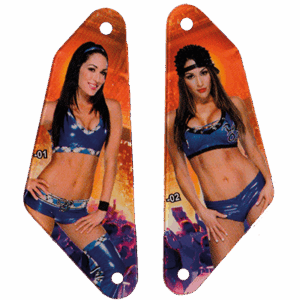 Wrestlemania slingshot