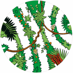 Gilligan's Island plastic 31-1A-2003-1-SP